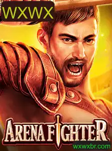 Explorando O Mundo Intenso de ArenaFighter: Descrição, Introdução e Regras