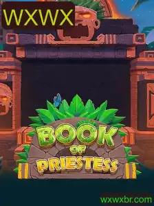 Descubra o Enigmático Jogo BookOfPriestess e Seus Segredos Místicos